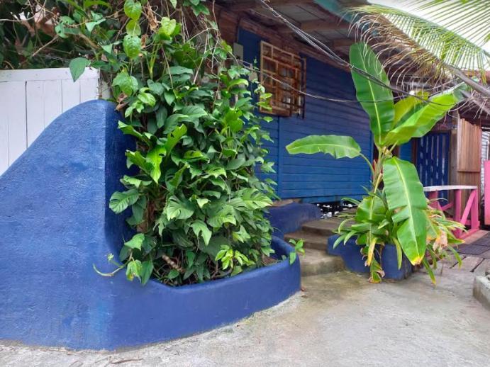 Casa Elba Sobre El Mar Villa Bocas Town Ngoại thất bức ảnh